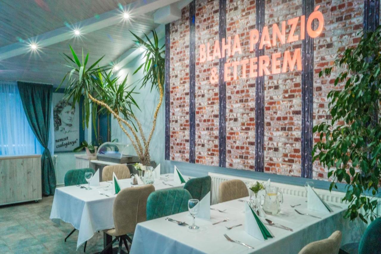 Blaha Panzio Bed & Breakfast Nyíregyháza Екстериор снимка