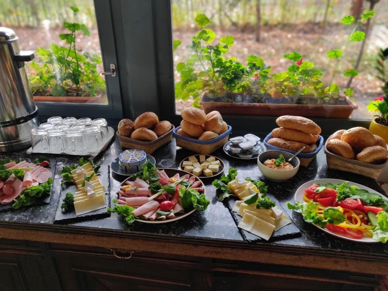 Blaha Panzio Bed & Breakfast Nyíregyháza Екстериор снимка
